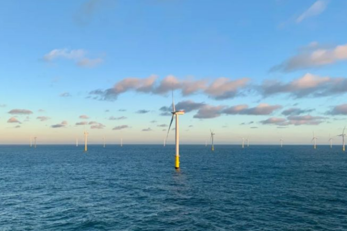 我与麻豆av
共成长